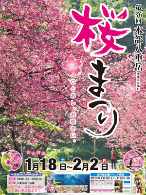 第36回 本部八重岳　桜まつり